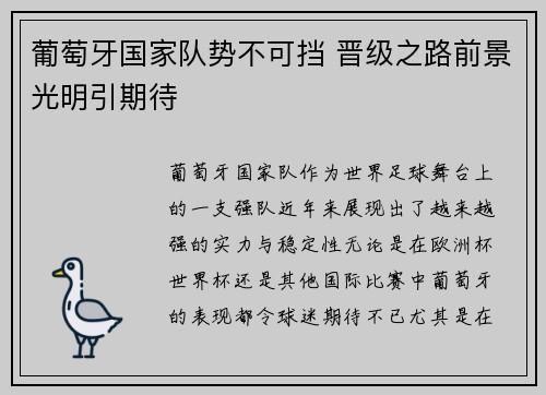 葡萄牙国家队势不可挡 晋级之路前景光明引期待
