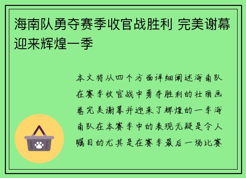 海南队勇夺赛季收官战胜利 完美谢幕迎来辉煌一季