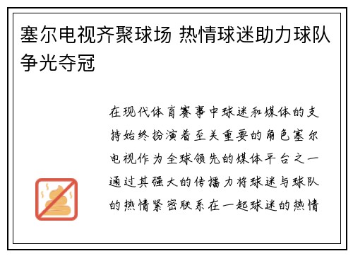 塞尔电视齐聚球场 热情球迷助力球队争光夺冠